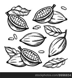 COCOA FRUIT And Cocoa Beans Clip Art Vector Illustration Set