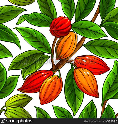 cocoa vector pattern on white background. cocoa vector pattern