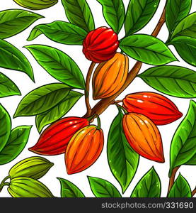 cocoa vector pattern on white background. cocoa vector pattern