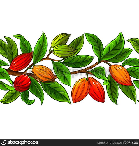 cocoa vector pattern on white background. cocoa vector pattern