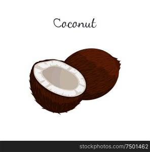 Coconut exotic fruit whole and cut vector isolated on white. Tropical food, plant in brown shell, dieting milk for cocktails inside, vegetarian coco icon. Coconut Exotic Fruit Vector Illustration Isolated