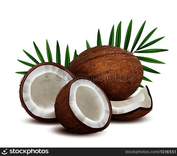 Coconut. Fresh tropical opened coco fruit with milk and palm green leaves vector natural dessert. Coconut fruit and green leaf palm, exotic coco illustration. Coconut. Fresh tropical opened coco fruit with milk and palm green leaves vector natural dessert