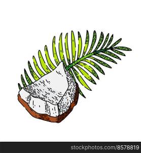 coconut fruit hand drawn vector. coco milk, green leaf, palm, tropical drink coconut fruit sketch. isolated color illustration. coconut fruit sketch hand drawn vector