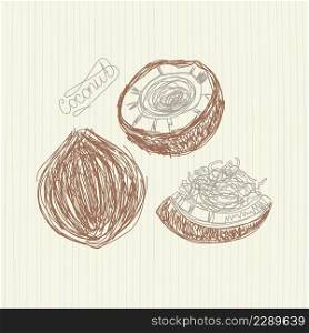 Coconut fruit. Hand drawn vector illustration. Pen or marker doodle sketch. Coconut fruit. Hand drawn vector illustration. Pen or marker doodle sketch.