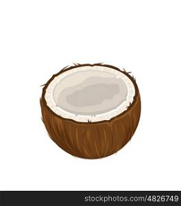Coconut Fruits Isolated on White Background. Illustration Coconut Fruits Isolated on White Background - Vector