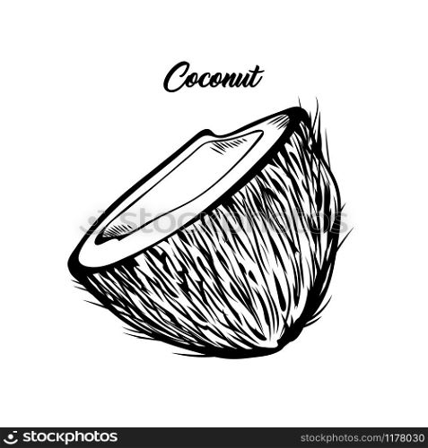 Coconut half black and white illustration. Fresh exotic food, tropical fruit with lettering. Delicious vegan dessert, natural palm tree fetus ink pen drawing. Banner, greeting card design element. Open coconut hand drawn vector illustration