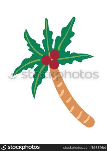 Coconut palm for paradise beach isolated on white. Vector coconut tropical palm, leaf summer exotic tree design illustration. Coconut palm for paradise beach isolated on white