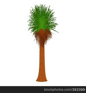 Coconut palm icon. Cartoon illustration of coconut palm vector icon for web. Coconut palm icon, cartoon style