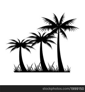 Coconut, Palm Tree Icon