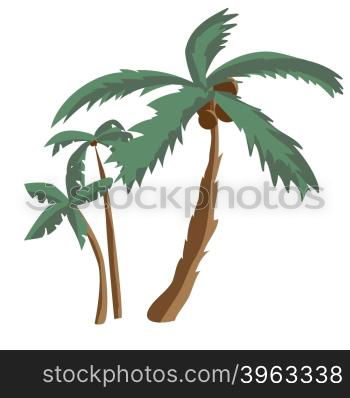 Coconut palm trees isolated on white background. Palm tree on a sunny summer day vacation. Vector flat illustration