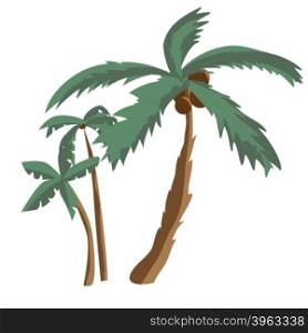 Coconut palm trees isolated on white background. Palm tree on a sunny summer day vacation. Vector flat illustration