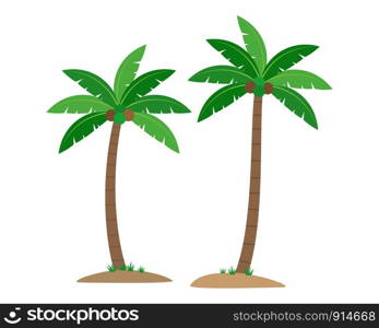 Coconut palm trees isolated on white background - Vector illustration