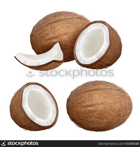 Coconut realistic. Tropical closeup nature fruit from fresh palm vector coconut milk pictures. Palm fruit coconut, coco tropical closeup illustration. Coconut realistic. Tropical closeup nature fruit from fresh palm vector coconut milk pictures