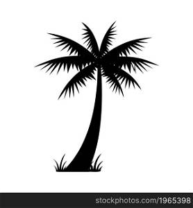Coconut Tree Icon Vector