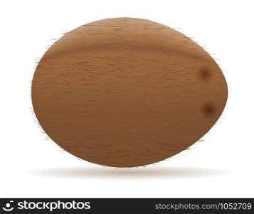 coconut vector illustration isolated on white background