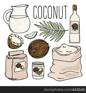 COCONUT Vegetarian Paleo Diet Natural Vector Illustration Set