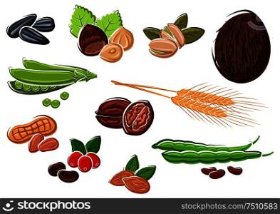 Coconut, walnuts, peanuts, roasted and fresh coffee beans, pistachios, almonds, green pods of sweet pea and beans, sunflower seeds, hazelnuts and wheat ears. Appetizing nuts, beans, seeds and wheat