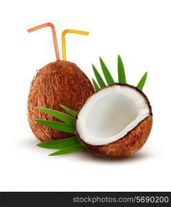 Coconut with leaves. Vector.