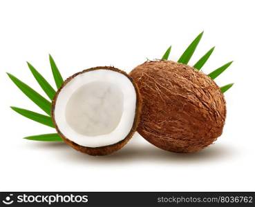 Coconut with leaves. Vector.