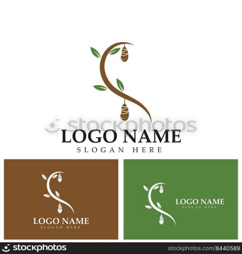 Cocoon logo template vector icon illustration design