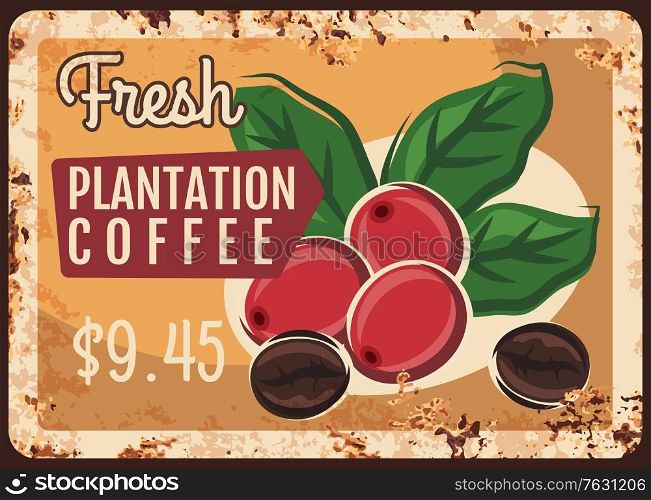 Coffee beans and berries rusty metal plate, vector retro vintage grunge poster. Coffee plantation, cafe or cafeteria, shop and coffeehouse sign with rust and dollar price. Coffee beans and berries rusty metal plate
