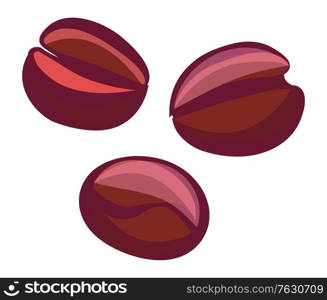 Coffee beans isolated on white. Roasted dark ingredients of energy aroma drink, brown seeds of gourmet brazilian arabica. Jave beverage, shop label. Vector illustration in flat cartoon style. Coffee Beans Isolated. Vector Roasted Ingredients