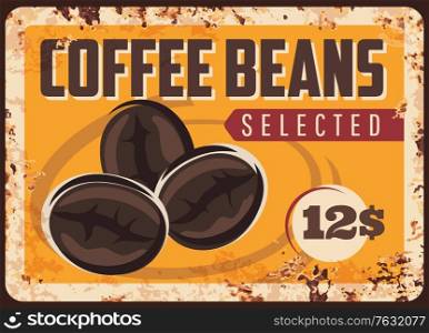 Coffee beans vector plate. Selected roasted grains on old rusty metal plate. Coffee seeds on ferruginous grunge poster. Premium quality arabica beans, element for drink package design. Coffee roasted beans vector rusty plate