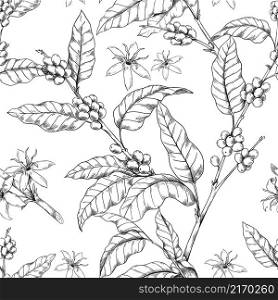 Coffee branch pattern. Seamless print with hand drawn Arabica tree with leaves and flowers. Roasted seeds for caffeine beverage. Plant twigs sketch. Vector engraved texture of espresso drink beans. Coffee branch pattern. Seamless print with hand drawn Arabica tree with leaves and flowers. Roasted seeds for caffeine beverage. Plant sketch. Vector texture of espresso drink beans