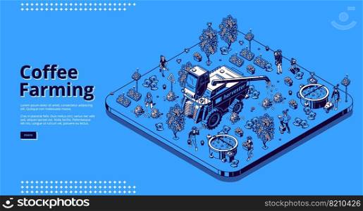 Coffee farming isometric landing page, farmers working on field care of plants and beans collecting crop. People use harvester combine machinery and instruments for work, 3d vector line art web banner. Coffee farming, harvesting isometric landing page