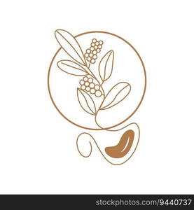 Coffee Logo, Coffee Tree Design, Cafe Drink Vector, Icon Brand Illustration Symbol