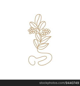 Coffee Logo, Coffee Tree Design, Cafe Drink Vector, Icon Brand Illustration Symbol