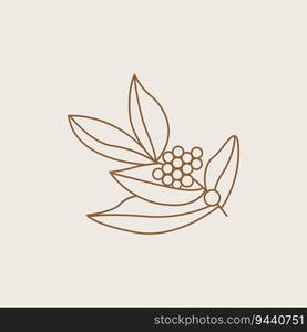 Coffee Logo, Coffee Tree Design, Cafe Drink Vector, Icon Brand Illustration Symbol