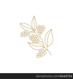 Coffee Logo, Coffee Tree Design, Cafe Drink Vector, Icon Brand Illustration Symbol