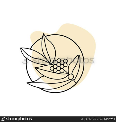 Coffee Logo Design, Coffee Tree Drink Vector, Template Symbol Illustration