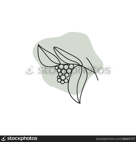 Coffee Logo Design, Coffee Tree Drink Vector, Template Symbol Illustration