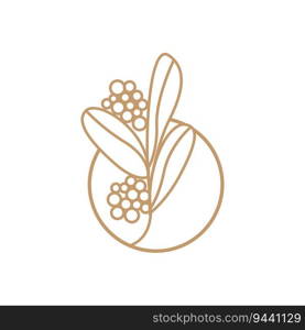 Coffee Logo Design, Coffee Tree Drink Vector, Template Symbol Illustration