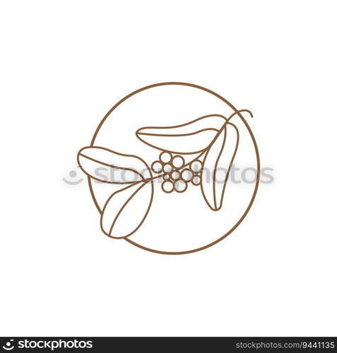 Coffee Logo Design, Coffee Tree Drink Vector, Template Symbol Illustration