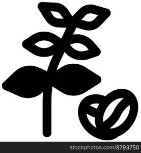 Coffee plant line vector icon