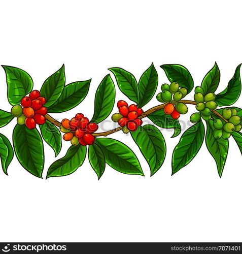 coffee vector pattern on whte background. coffee vector pattern