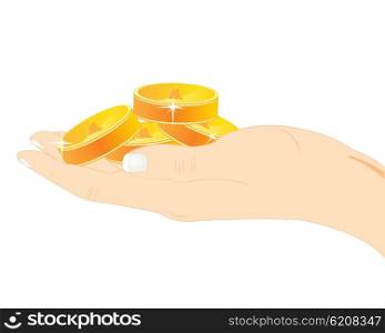 Coins in hand. Golden coins in hand of the person on white background is insulated