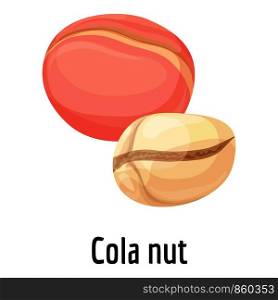 Cola nut icon. Cartoon of cola nut vector icon for web design isolated on white background. Cola nut icon, cartoon style