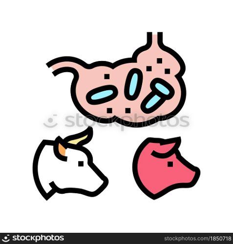 coli bacillus domestic animal color icon vector. coli bacillus domestic animal sign. isolated symbol illustration. coli bacillus domestic animal color icon vector illustration