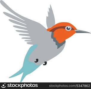 Colibri bird in color 01