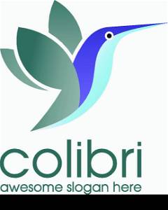 Colibri Logo Bird symbol design template. Hummingbird vector Bird cute character logo.
