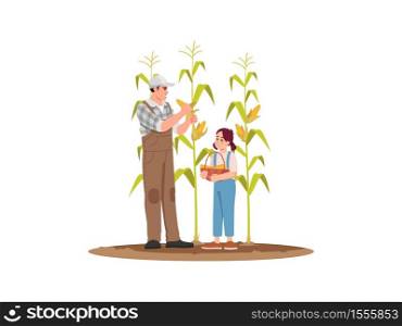 Collecting corn crop semi flat RGB color vector illustration. Local production of fresh vegetable. Activity for family on ranch. Father and daughter isolated cartoon characters on white background. Collecting corn crop semi flat RGB color vector illustration