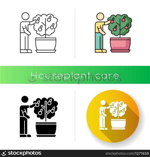 Collecting fruit from mini citrus tree icon. Caring for miniature orange tree. Thriving plant. Fruiting houseplant. Plant cultivation. Linear black and RGB color styles. Isolated vector illustrations