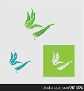 collection Aloe Vera logo template,Green leaf aloe vera label