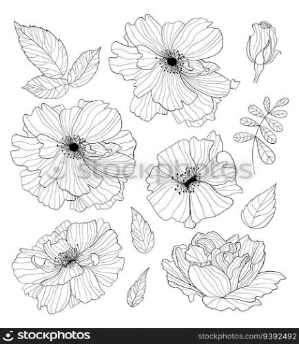 Collection decoration flowers. Hand drawn. Vector illustration. Isolated linear plants, leaves and branches for design, decor and decoration