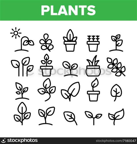 Collection Different Plants Sign Icons Set Vector Thin Line. House Plants, Gardening And Leaves Assortment Linear Pictograms. Nature Decoration And Tree Bunch Monochrome Contour Illustrations. Collection Different Plants Sign Icons Set Vector