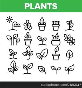Collection Different Plants Sign Icons Set Vector Thin Line. House Plants, Gardening And Leaves Assortment Linear Pictograms. Nature Decoration And Tree Bunch Monochrome Contour Illustrations. Collection Different Plants Sign Icons Set Vector
